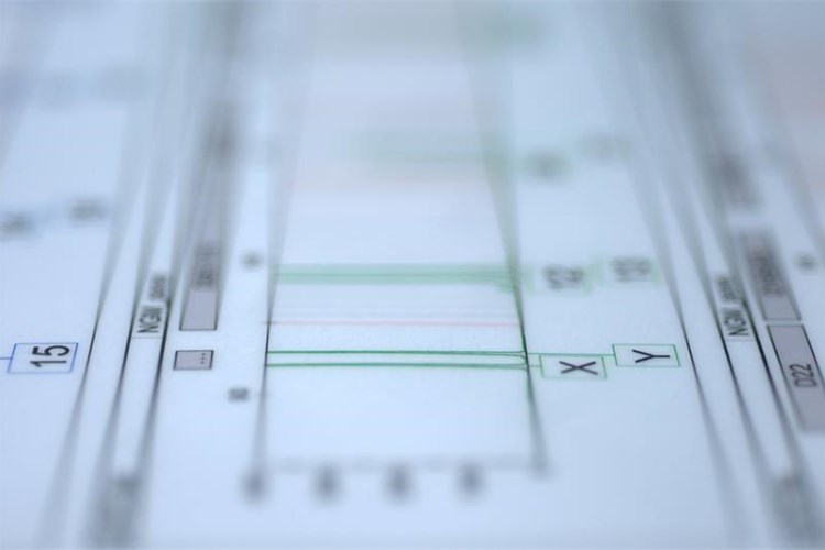 Photo /slike/biologija4.jpg