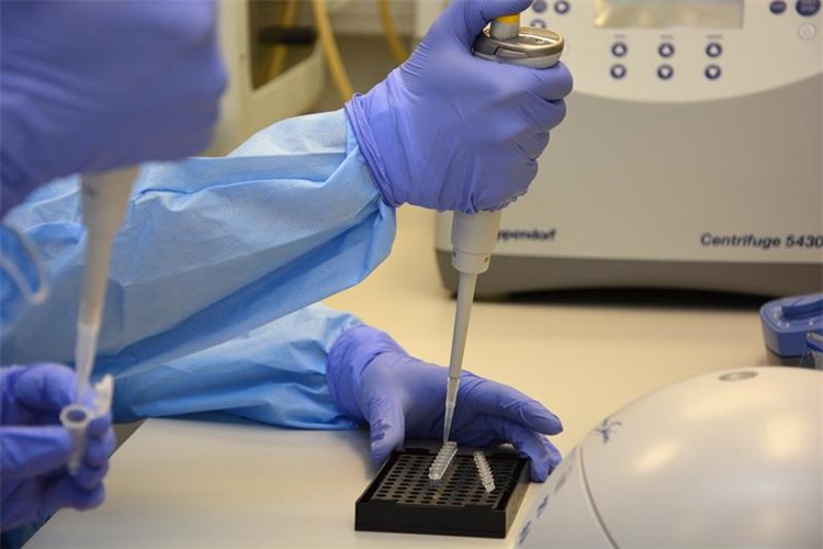 Photo /slike/istrazivacki1.JPG